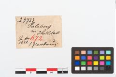 Etikett zu Bronzeriemenverteiler (NHMW-PRAE-025723)